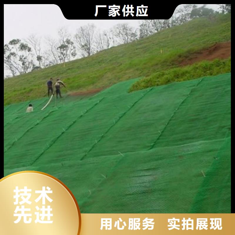 【三维植被网】-防水排水板厂家销售