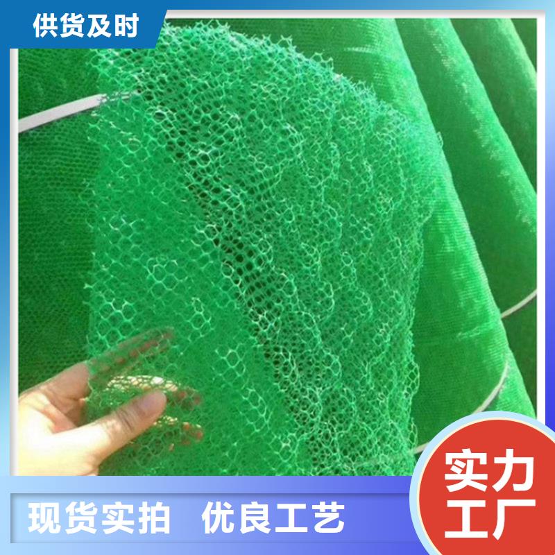 三维植被网防水毯用好材做好产品