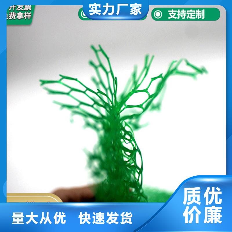 【三维植被网】【排水板】自营品质有保障