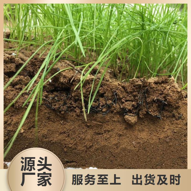 水土保护毯【防水膜】重信誉厂家