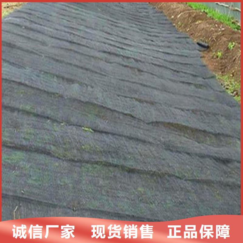 水土保护毯HDPE土工膜销售的是诚信