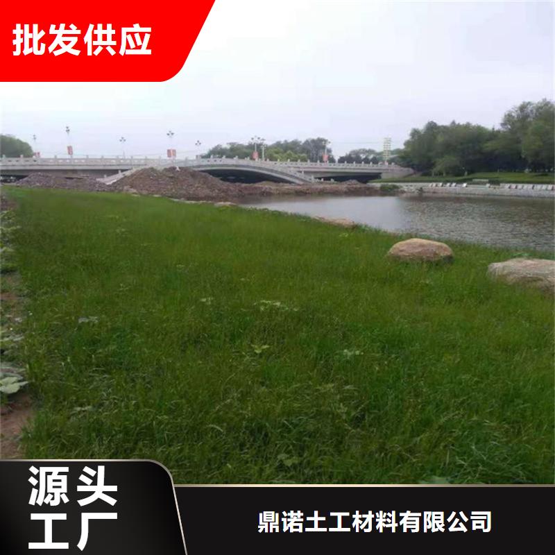 【椰丝毯】-土工格栅我们更专业