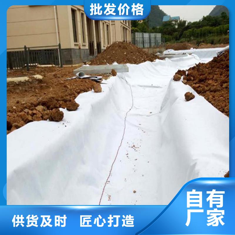 土工布_【双向土工格栅】质量优选
