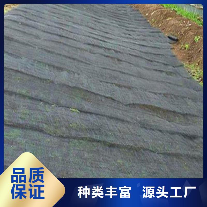 水土保护毯,HDPE土工膜品质之选