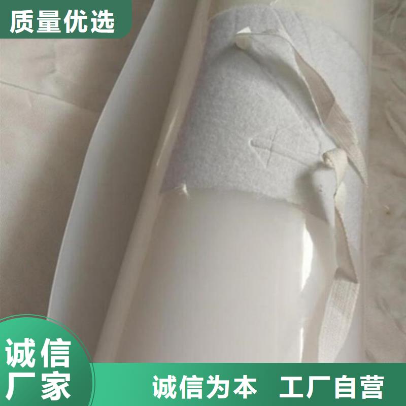 防水板【HDPE土工膜】专注细节专注品质