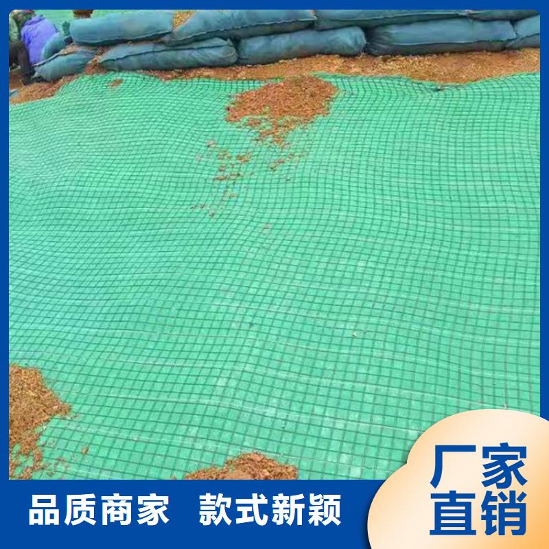 椰丝毯塑料土工格栅质量检测