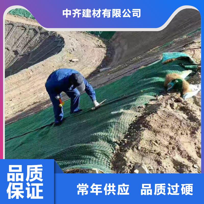 椰丝毯_双向土工格栅N年大品牌