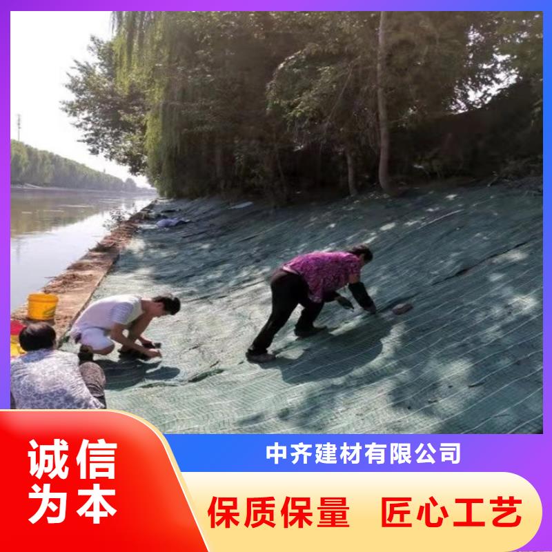 椰丝毯钢塑土工格栅多年经验值得信赖