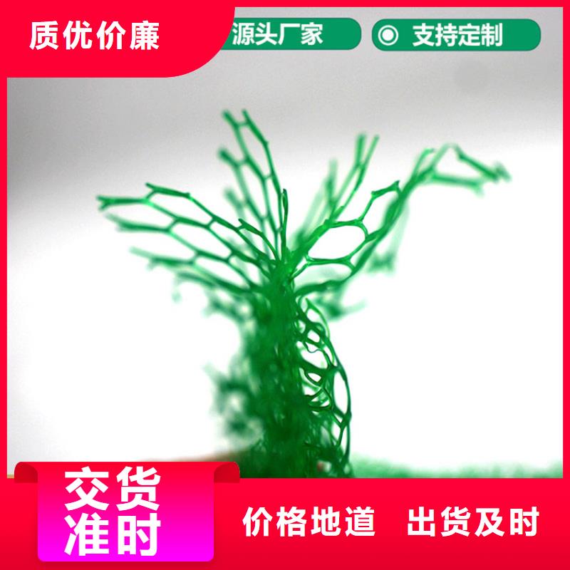 三维植被网土工布精品优选