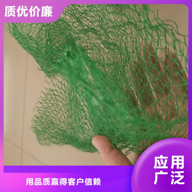 三维植被网硬式透水管用心经营