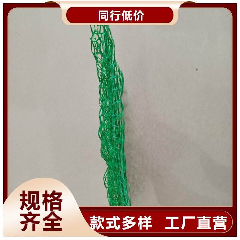 三维植被网_透水管优选原材