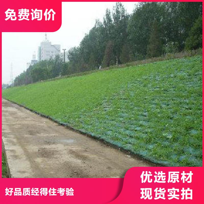 三维植被网【双向塑料土工格栅】主推产品