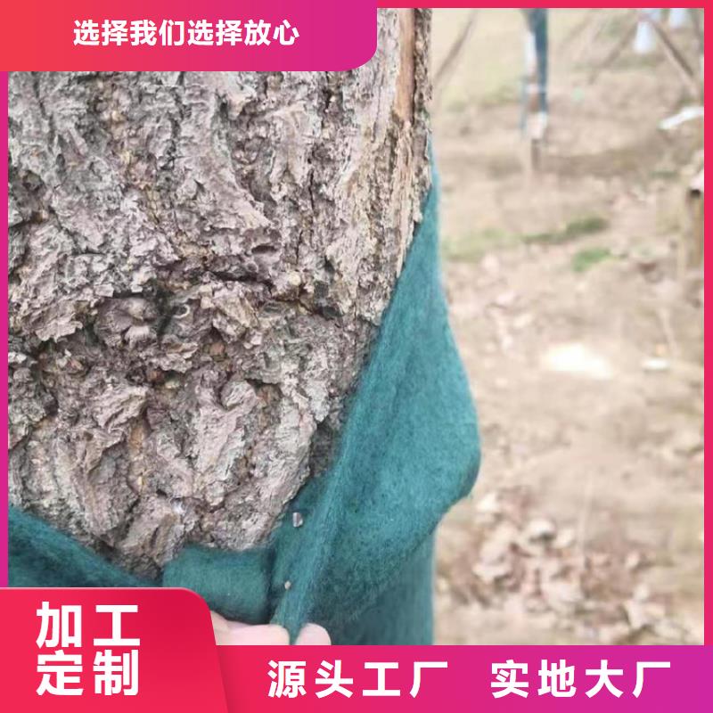 裹树布防水毯直销厂家