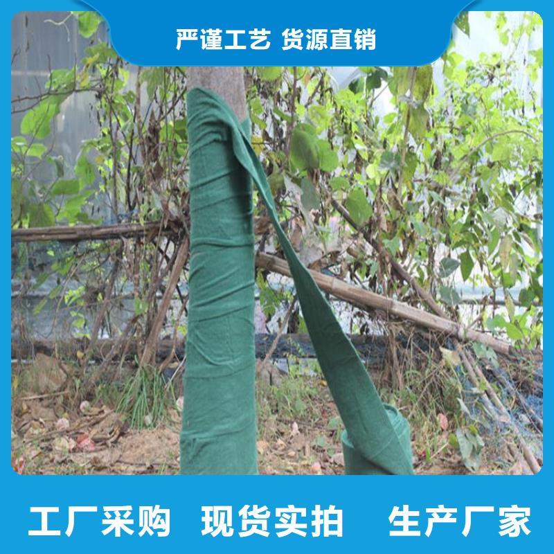 裹树布-【塑料玻纤格栅】产品细节