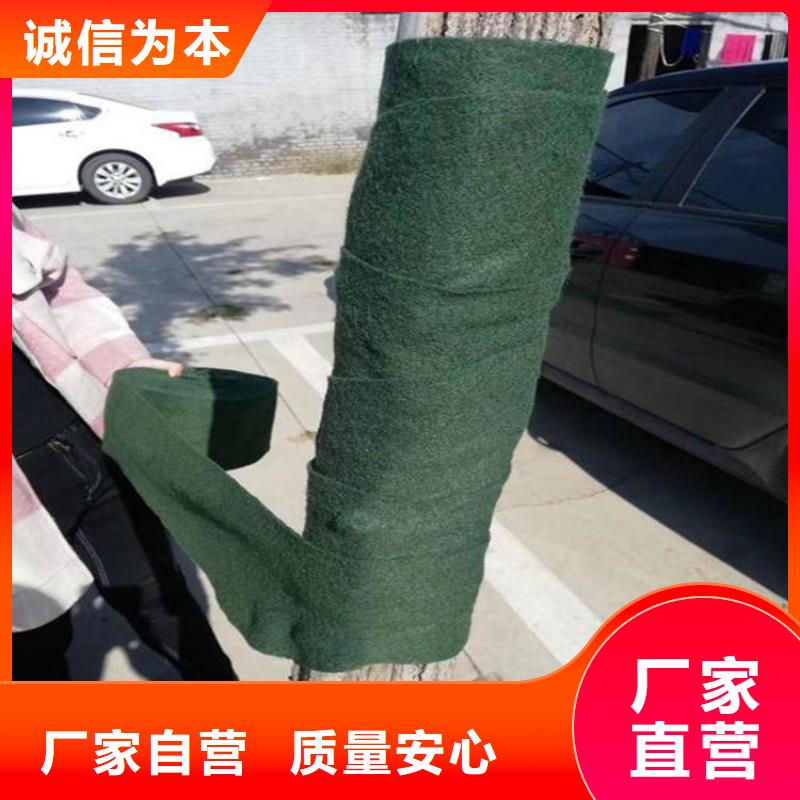 裹树布-【塑料玻纤格栅】产品细节