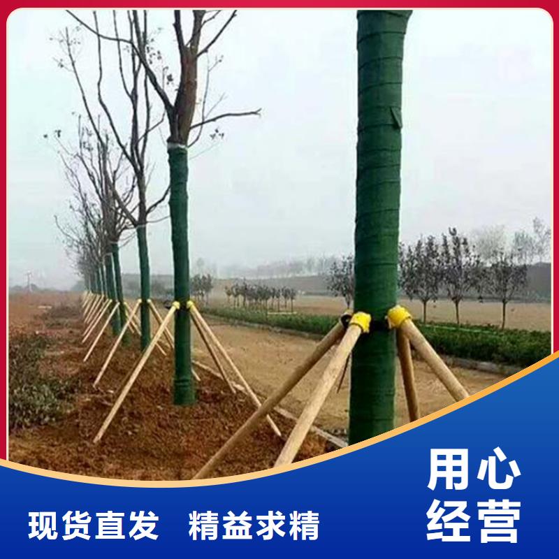 【裹树布-短纤无纺土工布现货】