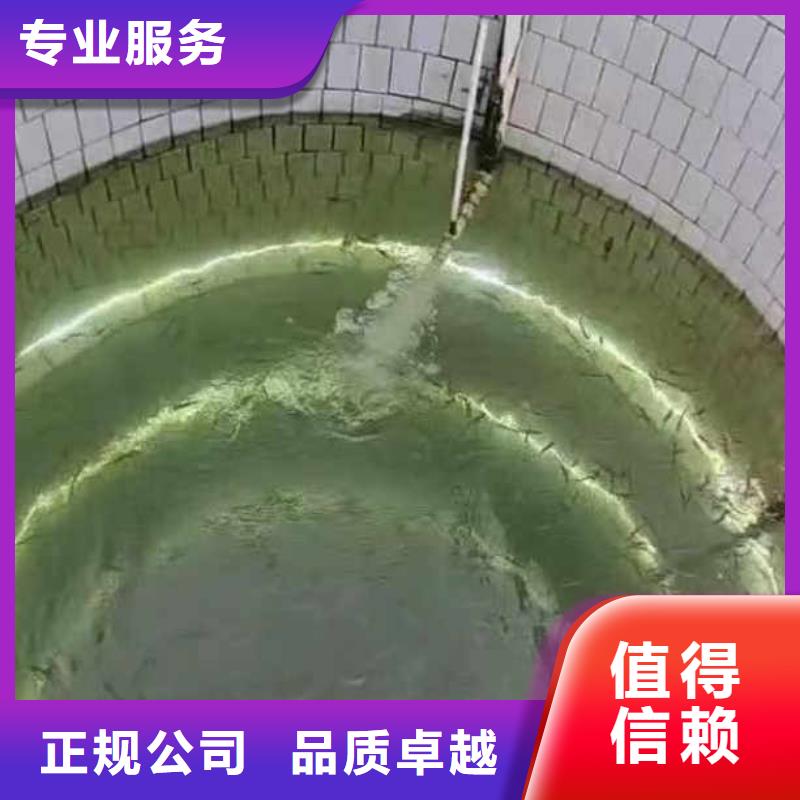 闸门水下维修按需定制18O