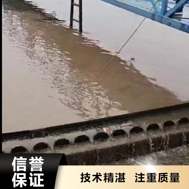 水下施工-本地水下堵漏注重质量