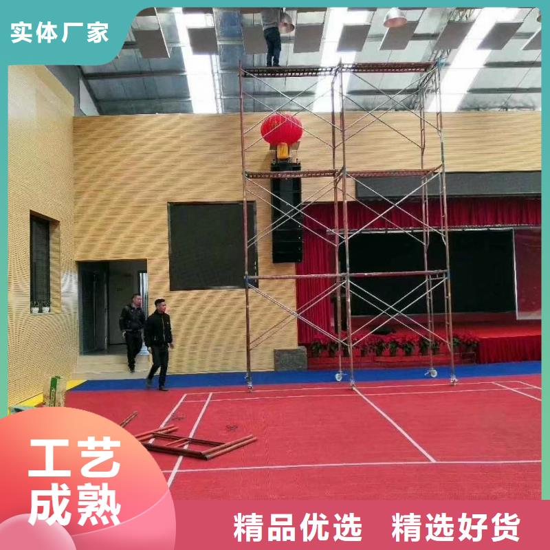 大型体育馆声学改造