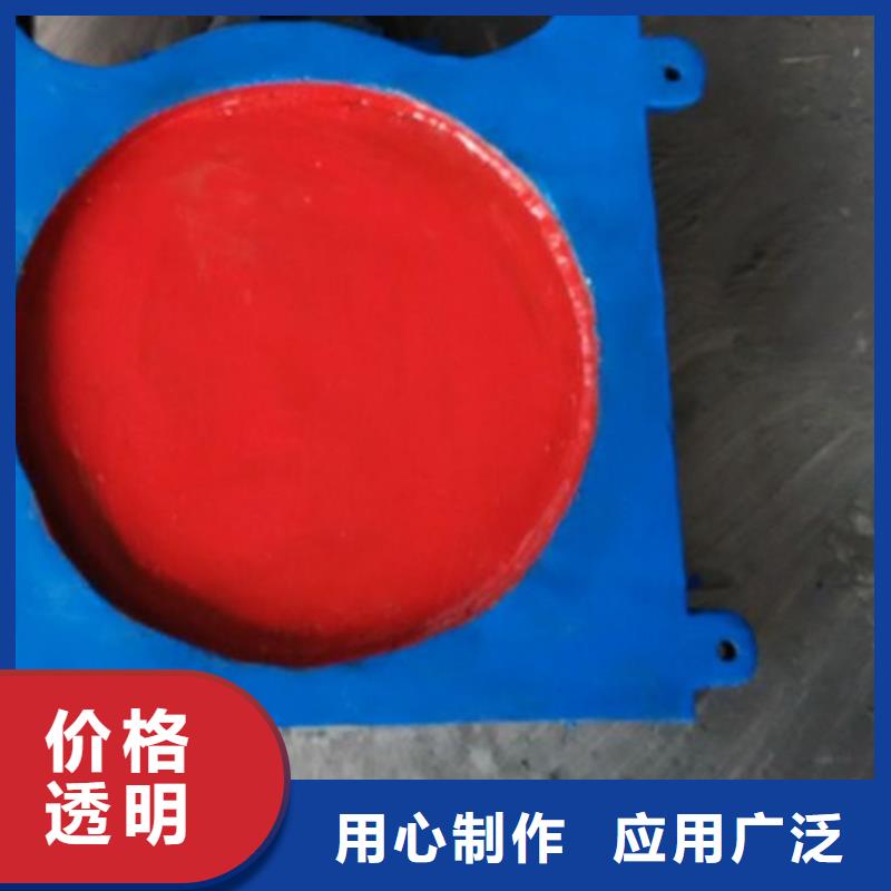 机门一体闸门生产厂家