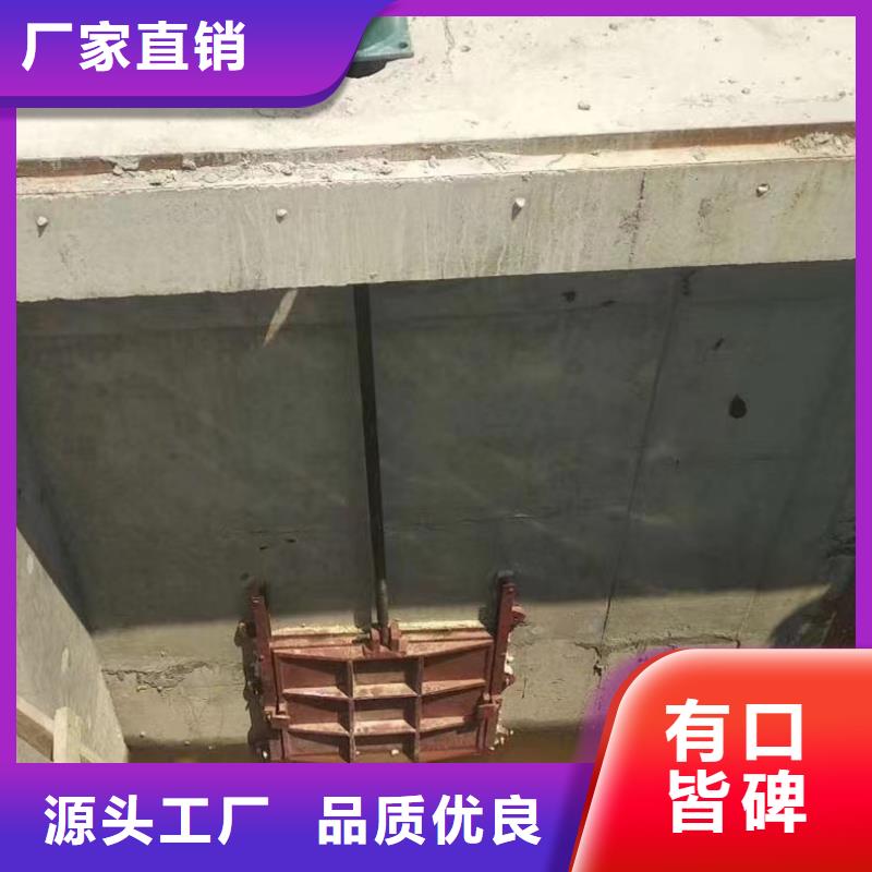 PZJY一体式铸铁闸门现货