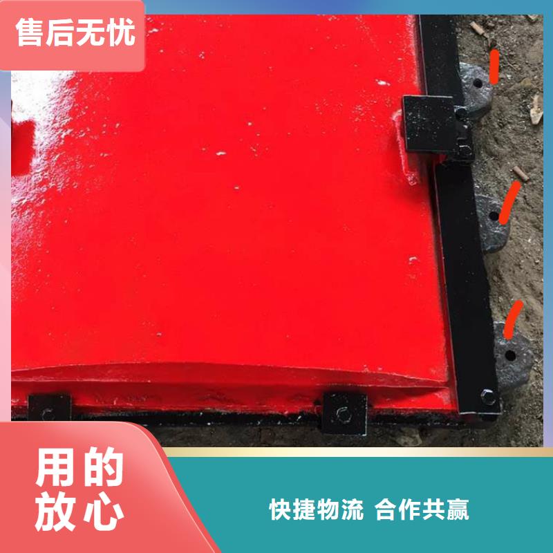 DN600铸铁镶铜圆闸门美观好用