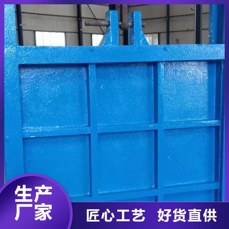 双向铸铁闸门支持定制