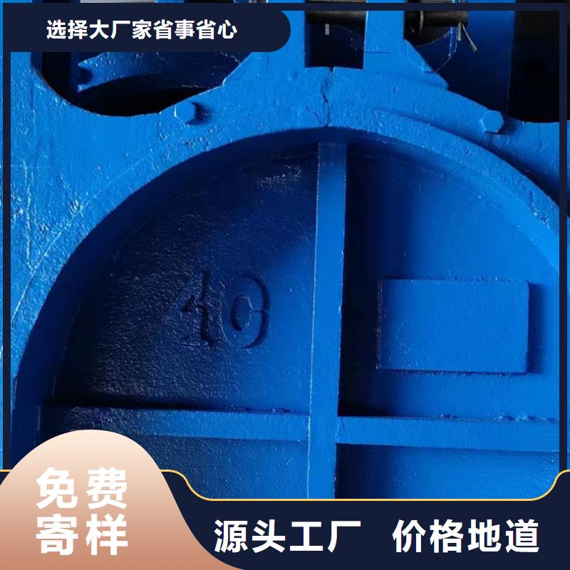 双向铸铁闸门支持定制