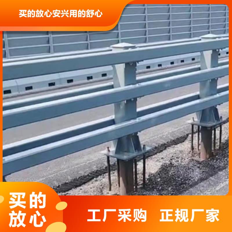 防撞护栏【市政道路防护栏】厂家直销省心省钱