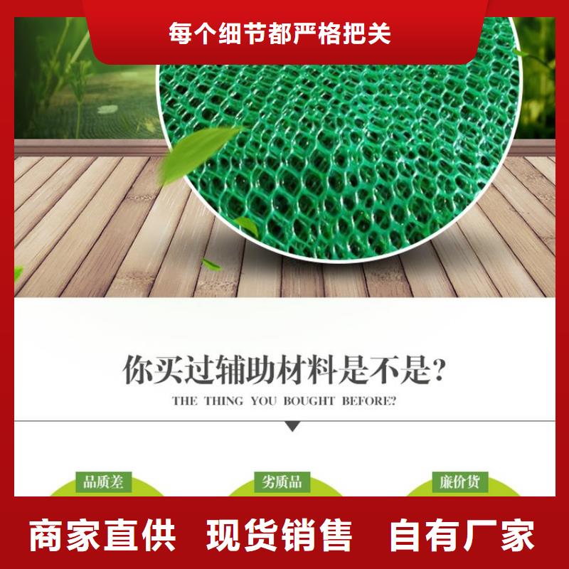 三维植被网pp杜拉纤维真材实料诚信经营