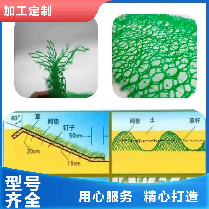 三维植被网铜片止水不断创新