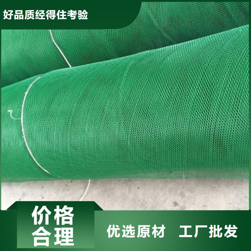 【三维植被网】止水铜片产地厂家直销