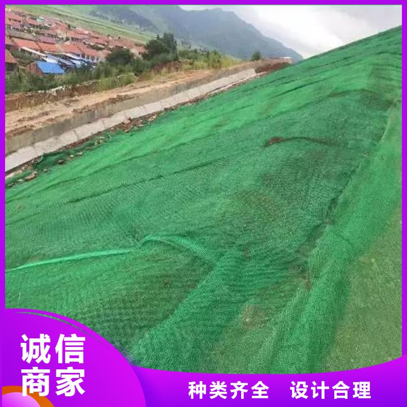 【三维植被网】钢纤维厂家销售