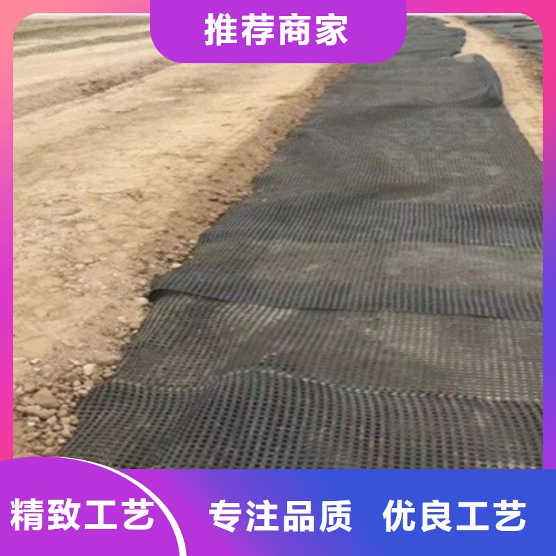 土工格栅渗排水网垫厂家型号齐全