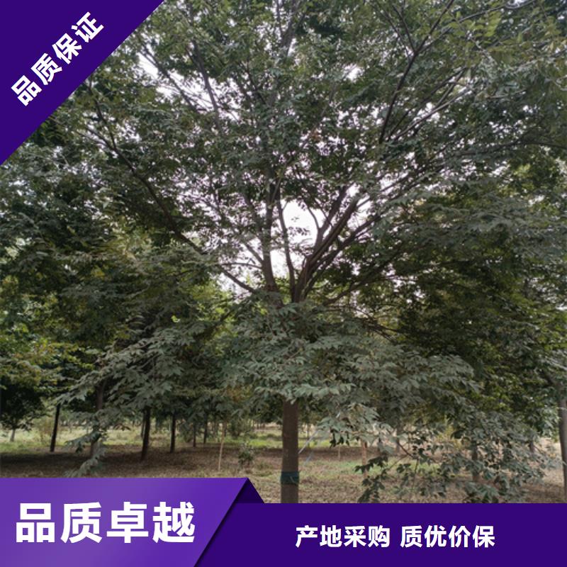 法桐精致工艺