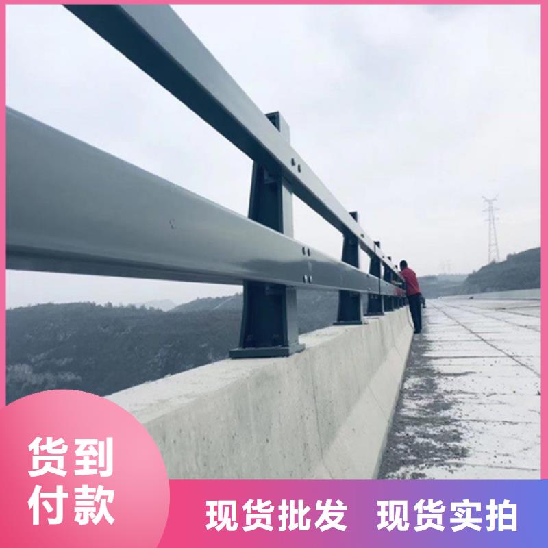 【景观护栏】-市政道路防护栏做工精细