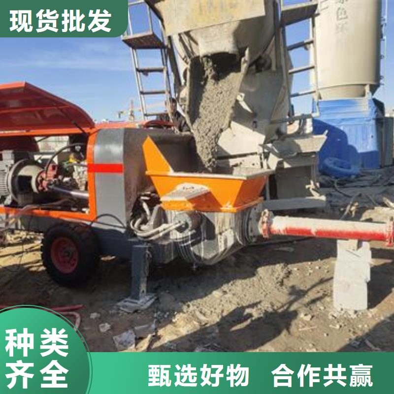 小型混凝土泵【基桩垫层泵车】产品细节参数