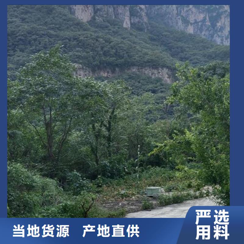 小型混凝土泵_混凝土输送泵质量层层把关