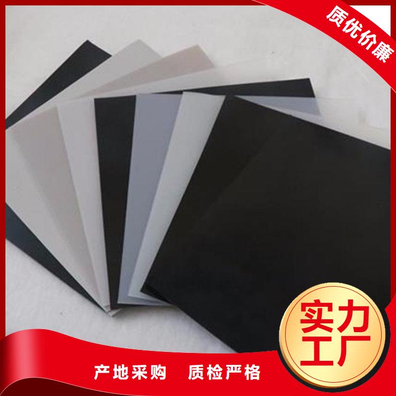土工膜【钢塑土工格栅】实拍品质保障