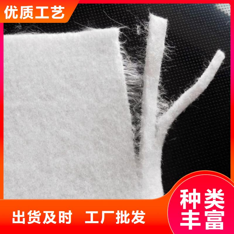 【土工布,防渗膜24小时下单发货】