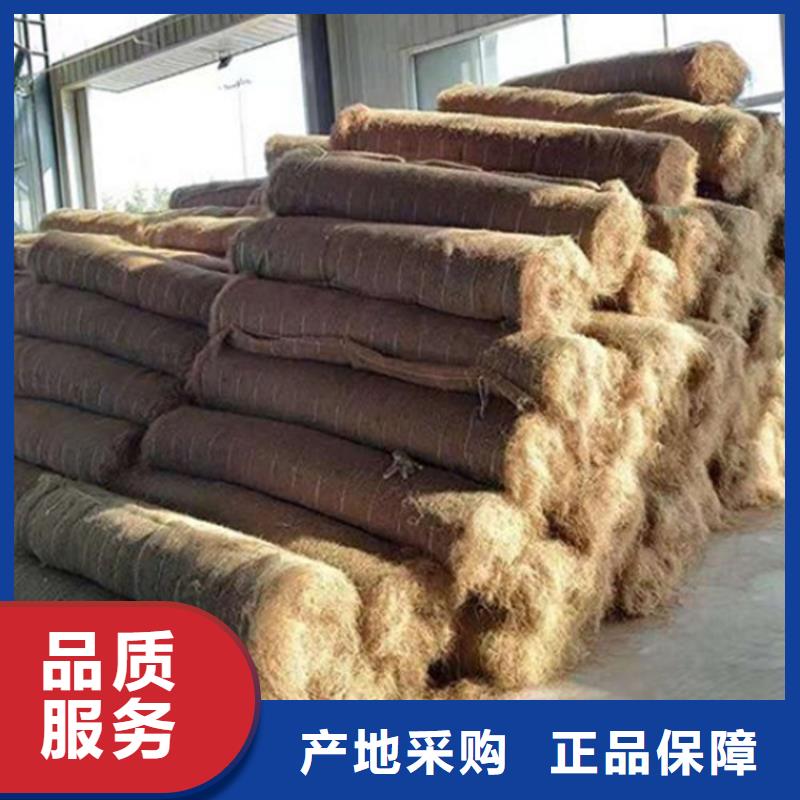 椰丝毯-双向塑料土工格栅工厂现货供应