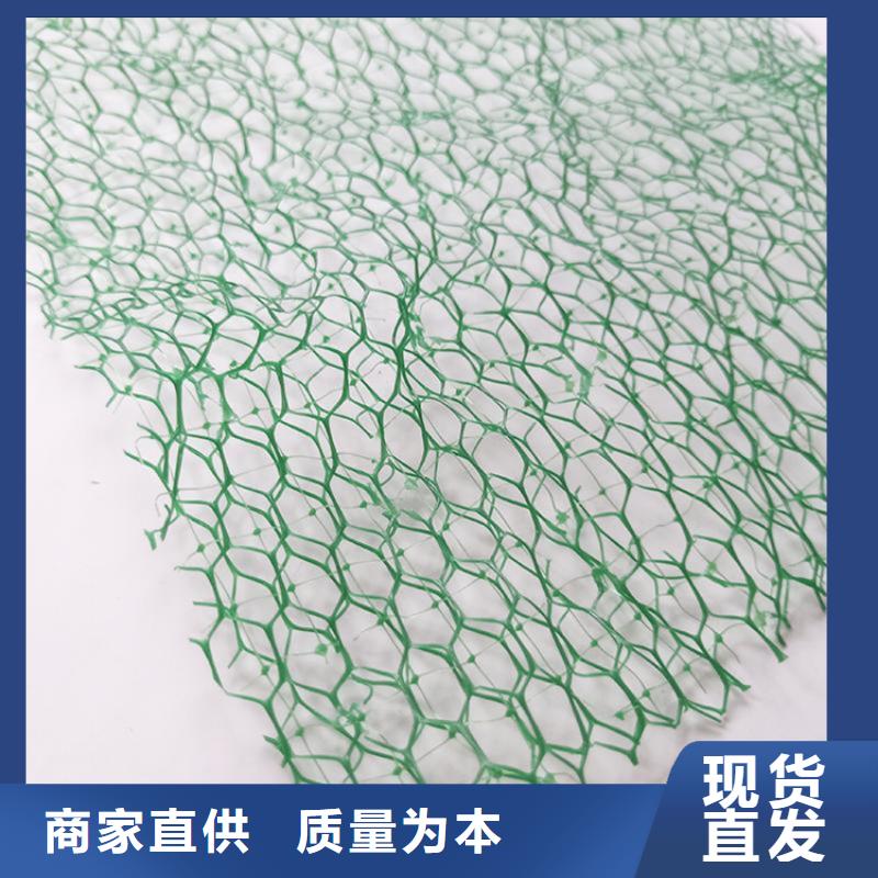 三维植被网聚酯玻纤布品质好才是硬道理
