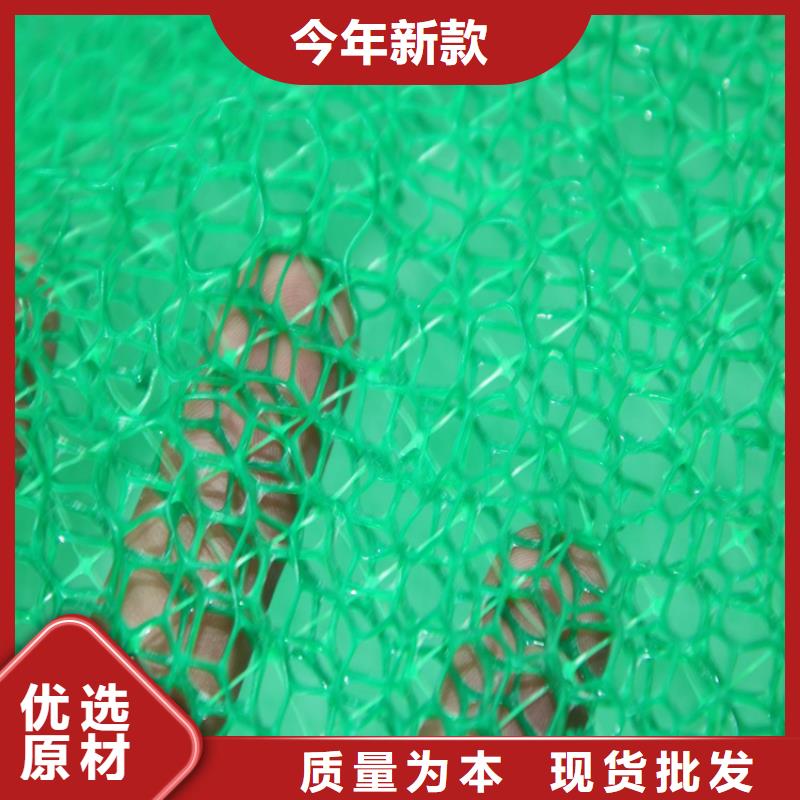 三维植被网_通风降噪丝网出货及时