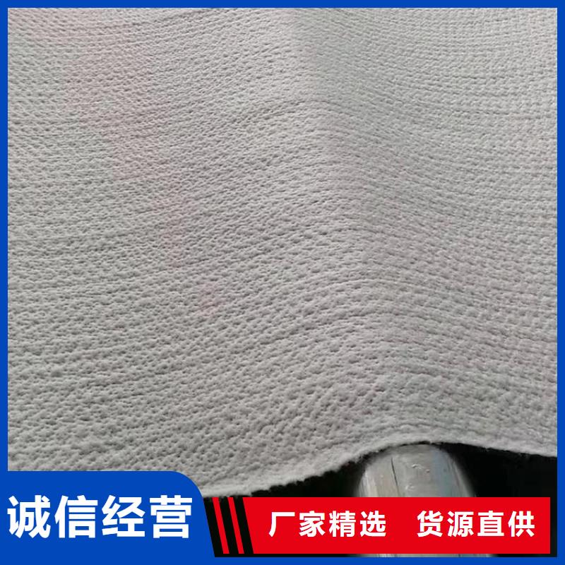 膨润土防水毯防渗膜品质服务诚信为本