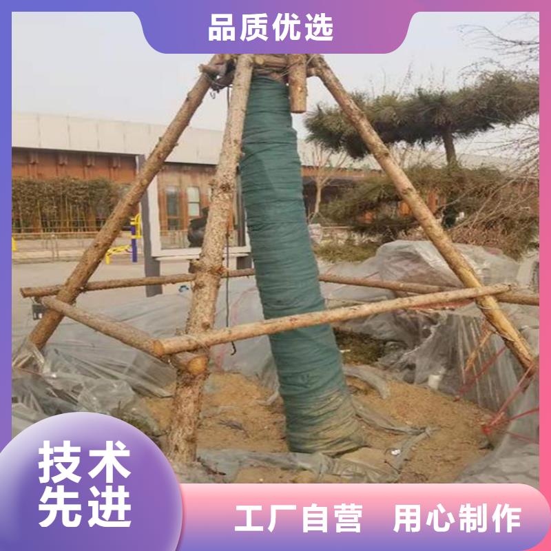 裹树布_玻璃纤维土工格栅一站式供应厂家