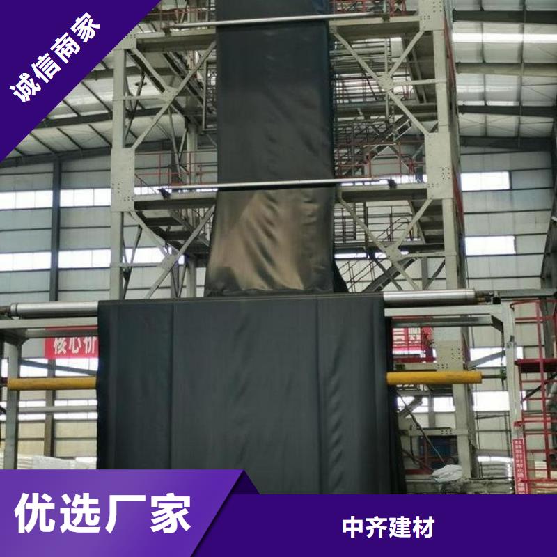 土工膜_防渗膜真材实料诚信经营