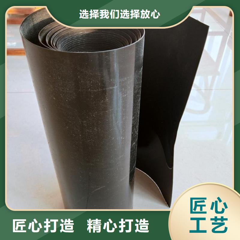 土工膜专业生产N年