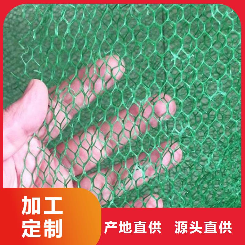 三维植被网软式透水管质优价廉