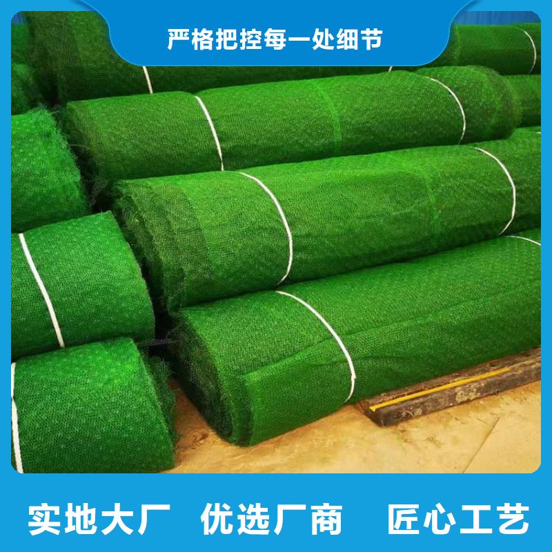 三维植被网通风降噪丝网联系厂家