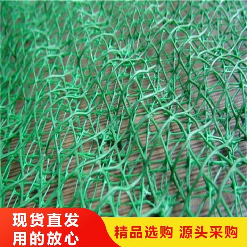 三维植被网止水带价格地道
